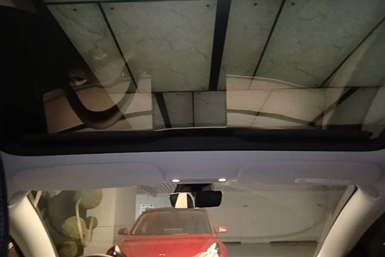 Used Tesla Model 3 2022 Rear-Wheel-Drive Version Headliner