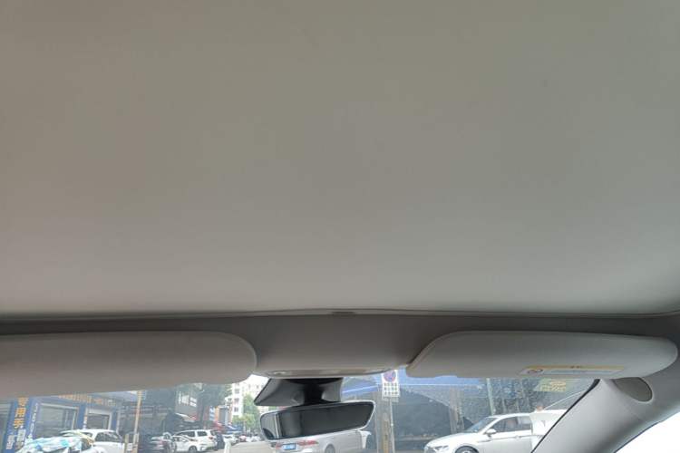 Used Tesla Model 3 2022 Rear-Wheel-Drive Version Headliner