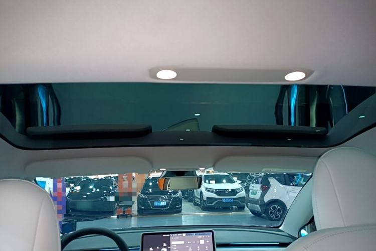 Used Tesla Model 3 2022 Rear-Wheel-Drive Version Headliner