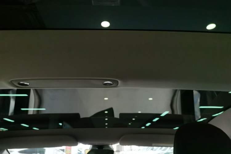 Used Tesla Model 3 2022 Rear-Wheel-Drive Version Headliner