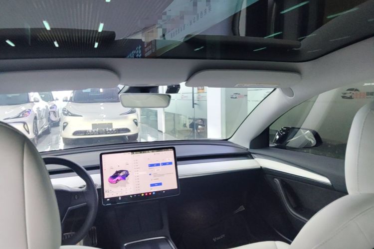 Used Tesla Model 3 2022 Performance High-Performance All-Wheel-Drive Version Headliner