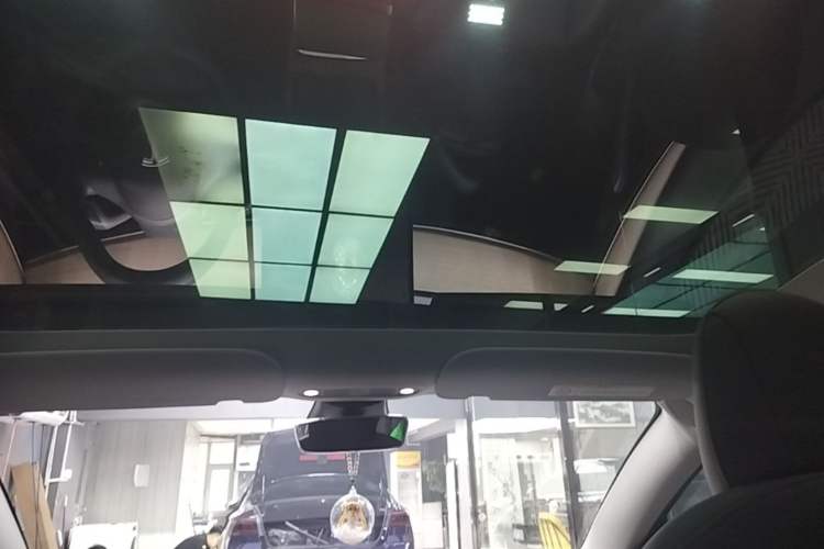 Used Tesla Model 3 2022 Rear-Wheel-Drive Version Headliner