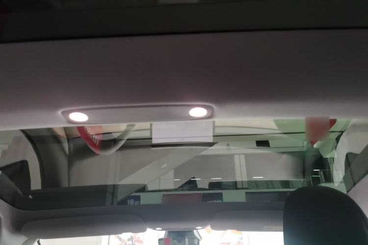 Used Tesla Model 3 2022 Rear-Wheel-Drive Version Headliner