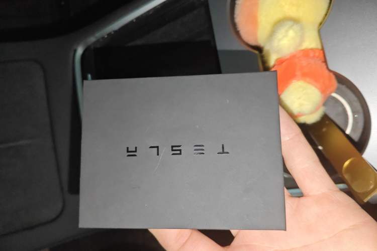 Used Tesla Model 3 2022 Rear-Wheel-Drive Version Interior 1