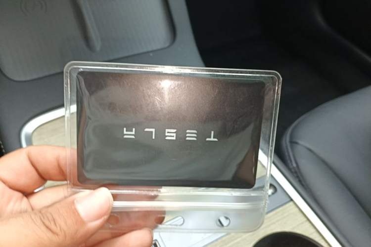 Used Tesla Model 3 2022 Rear-Wheel-Drive Version Interior 1