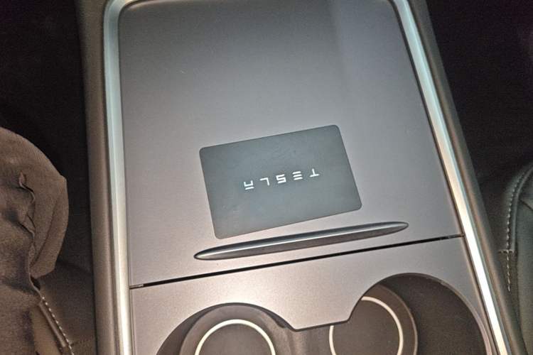 Used Tesla Model 3 2022 Rear-Wheel-Drive Version Interior 1