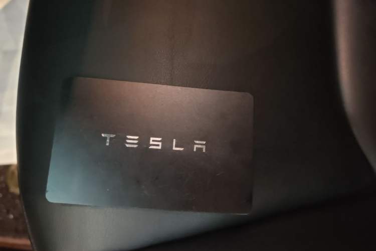 Used Tesla Model 3 2022 Rear-Wheel-Drive Version Interior 1