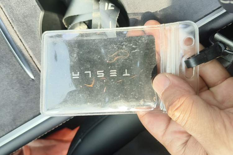 Used Tesla Model 3 2022 Rear-Wheel-Drive Version Interior 1