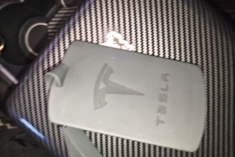 Used Tesla Model 3 2022 Rear-Wheel-Drive Version Interior 1