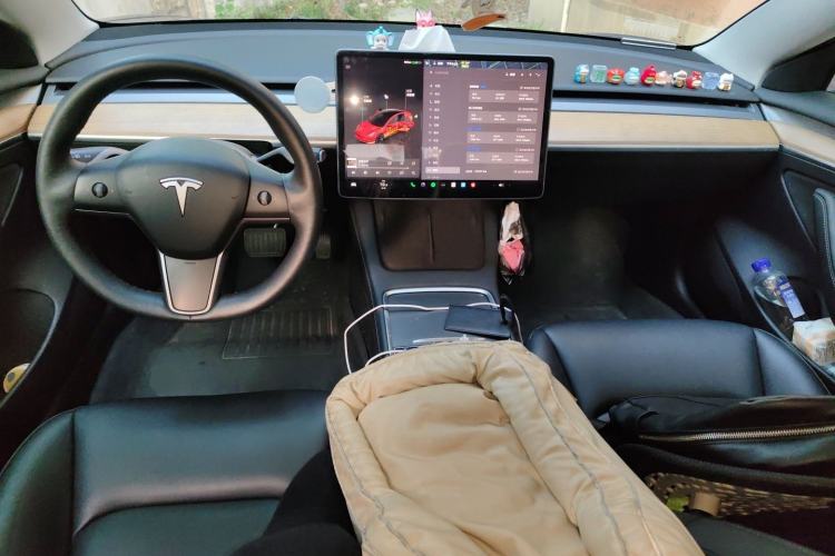 Used Tesla Model 3 2022 Rear-Wheel-Drive Version Interior 2