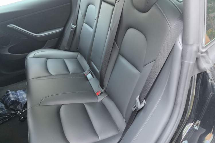 Used Tesla Model 3 2022 Rear-Wheel-Drive Version Interior 4