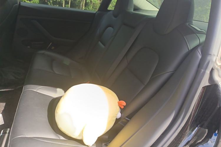 Used Tesla Model 3 2022 Rear-Wheel-Drive Version Interior 4