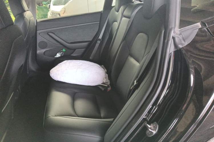Used Tesla Model 3 2022 Rear-Wheel-Drive Version Interior 4