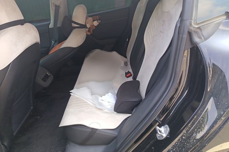 Used Tesla Model 3 2022 Rear-Wheel-Drive Version Interior 4