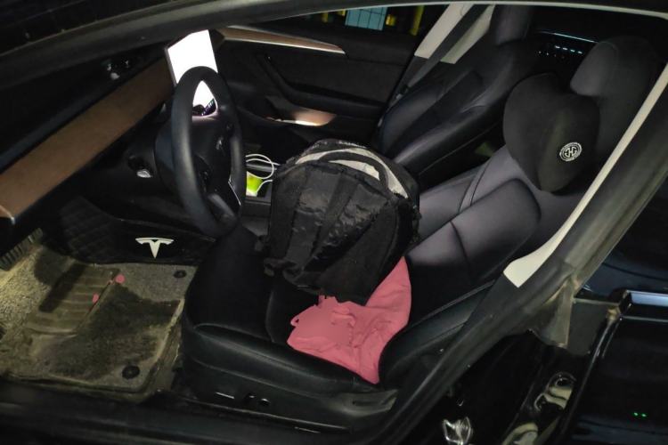 Used Tesla Model 3 2022 Performance High-Performance All-Wheel-Drive Version Left Front Seat