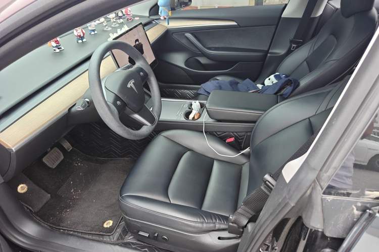Used Tesla Model 3 2022 Rear-Wheel-Drive Version Left Front Seat