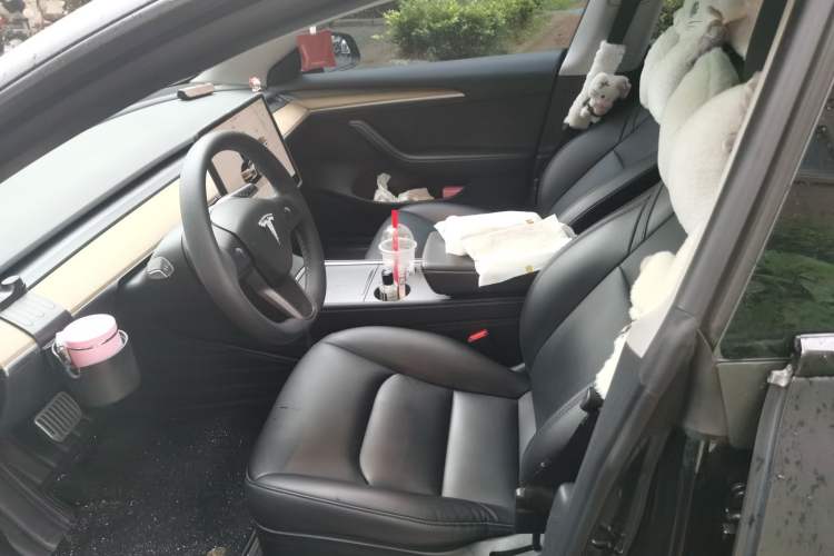 Used Tesla Model 3 2022 Rear-Wheel-Drive Version Left Front Seat