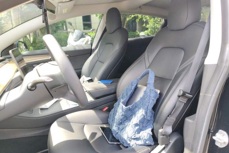 Used Tesla Model 3 2022 Rear-Wheel-Drive Version Left Front Seat