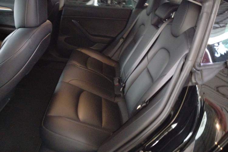 Used Tesla Model 3 2022 Rear-Wheel-Drive Version Left Rear Seat