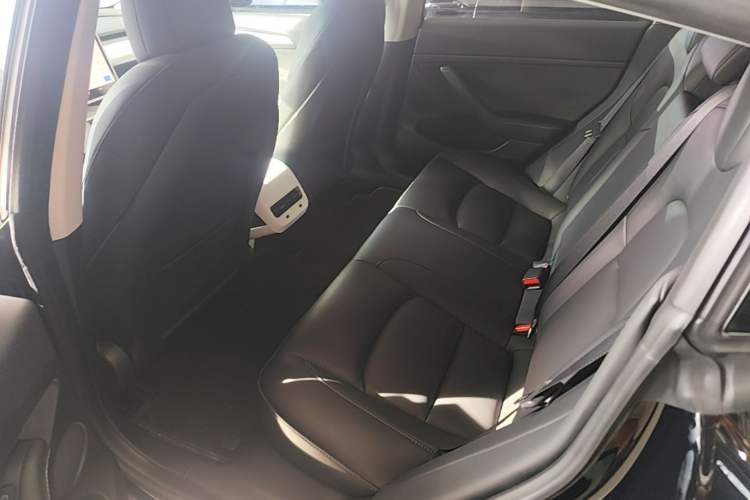 Used Tesla Model 3 2022 Rear-Wheel-Drive Version Left Rear Seat