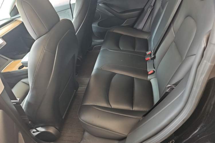 Used Tesla Model 3 2022 Rear-Wheel-Drive Version Left Rear Seat