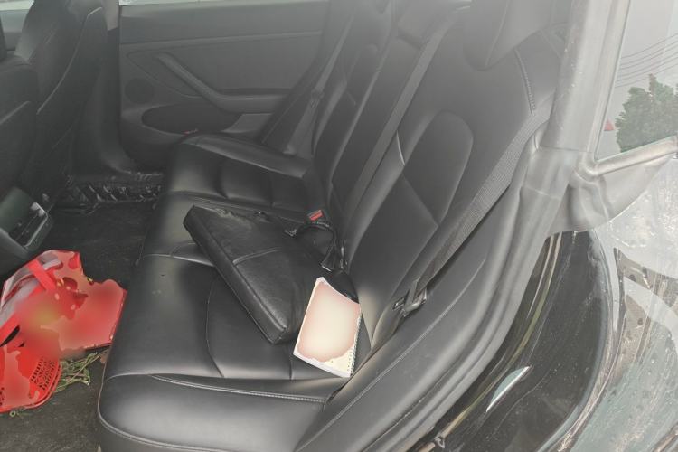 Used Tesla Model 3 2022 Rear-Wheel-Drive Version Left Rear Seat