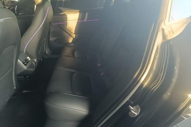 Used Tesla Model 3 2022 Rear-Wheel-Drive Version Left Rear Seat