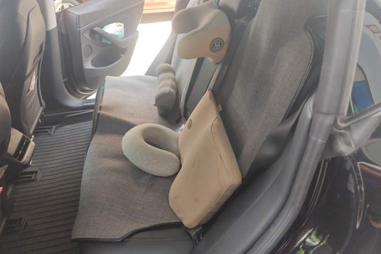 Used Tesla Model 3 2022 Rear-Wheel-Drive Version Left Rear Seat