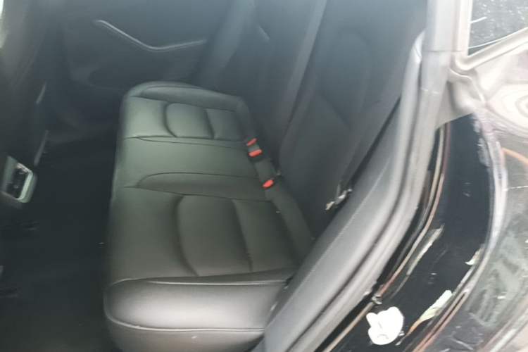 Used Tesla Model 3 2022 Rear-Wheel-Drive Version Left Rear Seat