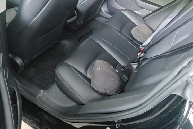 Used Tesla Model 3 2022 Performance High-Performance All-Wheel-Drive Version Left Rear Seat