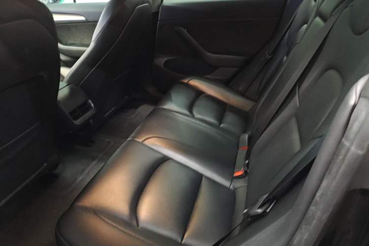 Used Tesla Model 3 2022 Rear-Wheel-Drive Version Left Rear Seat