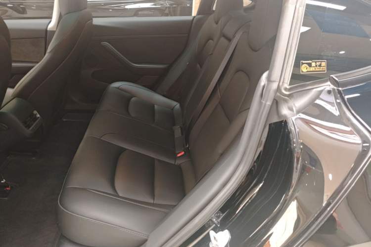 Used Tesla Model 3 2022 Rear-Wheel-Drive Version Left Rear Seat