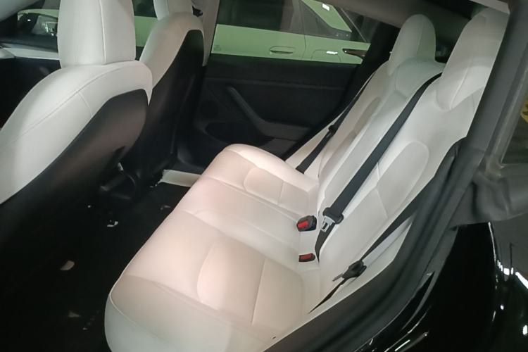 Used Tesla Model 3 2022 Rear-Wheel-Drive Version Left Rear Seat
