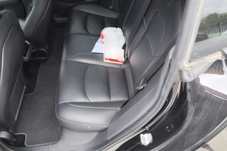 Used Tesla Model 3 2022 Rear-Wheel-Drive Version Left Rear Seat
