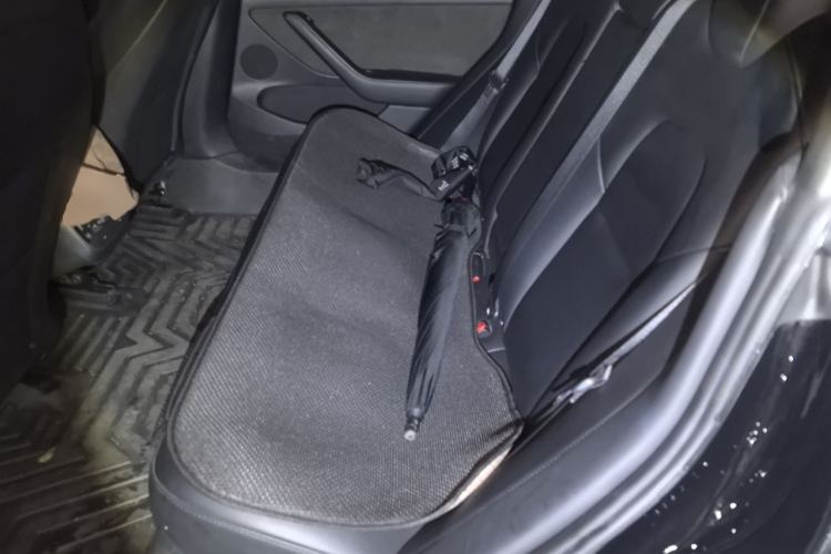 Used Tesla Model 3 2022 Rear-Wheel-Drive Version Left Rear Seat