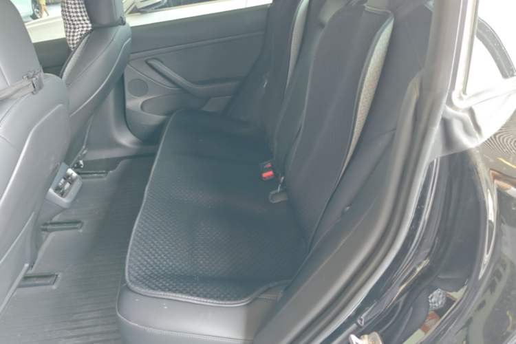Used Tesla Model 3 2022 Rear-Wheel-Drive Version Left Rear Seat