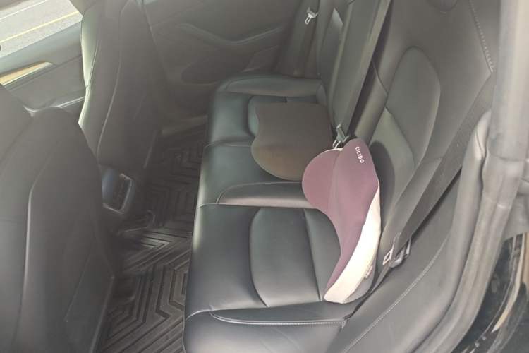 Used Tesla Model 3 2022 Rear-Wheel-Drive Version Left Rear Seat