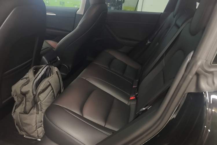 Used Tesla Model 3 2022 Rear-Wheel-Drive Version Left Rear Seat
