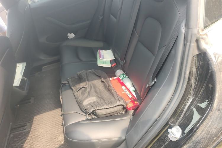 Used Tesla Model 3 2022 Rear-Wheel-Drive Version Left Rear Seat