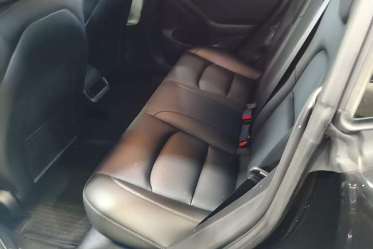 Used Tesla Model 3 2022 Rear-Wheel-Drive Version Left Rear Seat