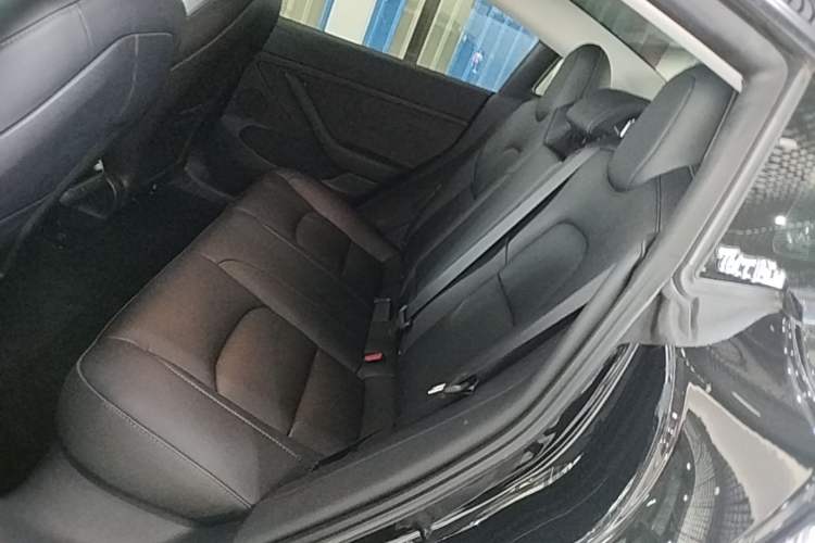 Used Tesla Model 3 2022 Rear-Wheel-Drive Version Left Rear Seat