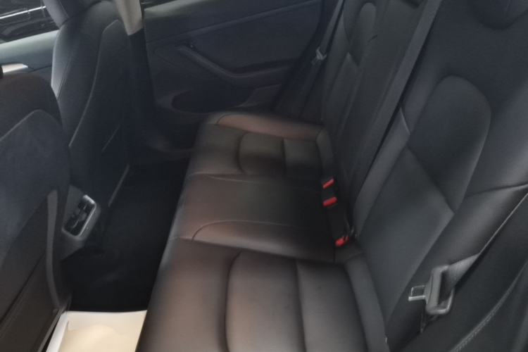 Used Tesla Model 3 2022 Rear-Wheel-Drive Version Left Rear Seat