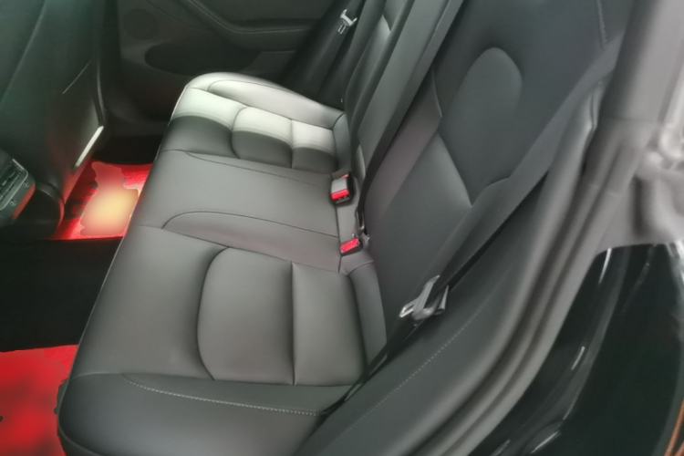 Used Tesla Model 3 2022 Rear-Wheel-Drive Version Left Rear Seat