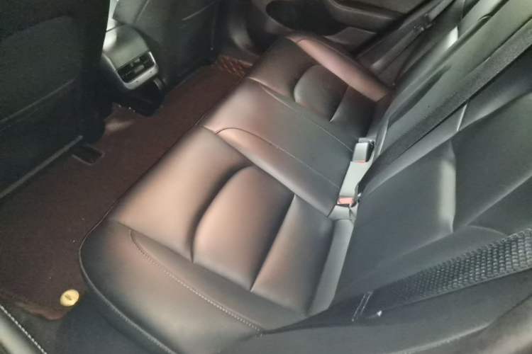 Used Tesla Model 3 2022 Rear-Wheel-Drive Version Left Rear Seat