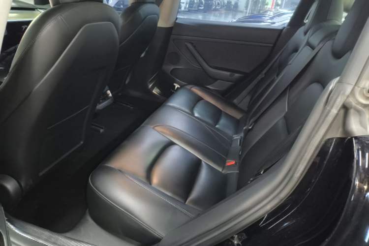 Used Tesla Model 3 2022 Rear-Wheel-Drive Version Left Rear Seat