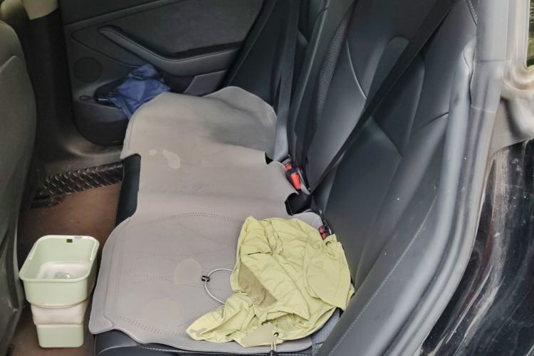 Used Tesla Model 3 2022 Rear-Wheel-Drive Version Left Rear Seat