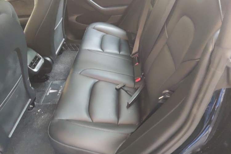Used Tesla Model 3 2022 Rear-Wheel-Drive Version Left Rear Seat