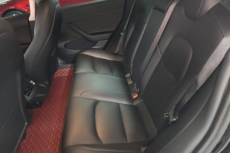 Used Tesla Model 3 2022 Rear-Wheel-Drive Version Left Rear Seat