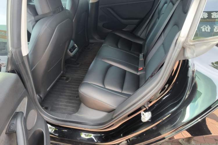 Used Tesla Model 3 2022 Rear-Wheel-Drive Version Left Rear Seat