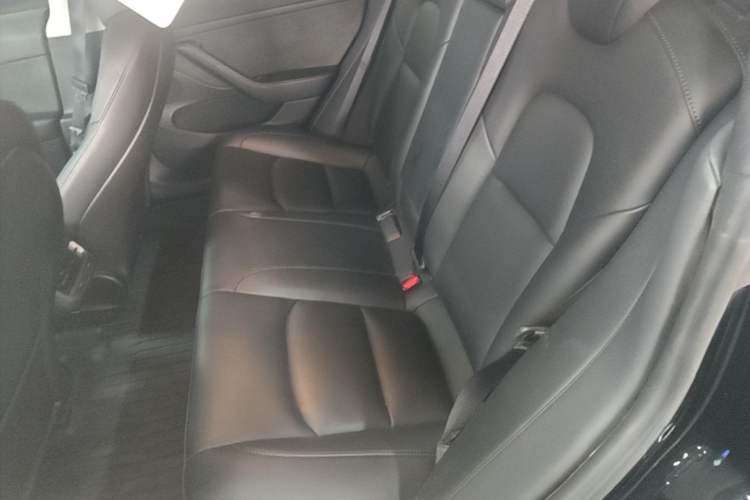 Used Tesla Model 3 2022 Rear-Wheel-Drive Version Left Rear Seat